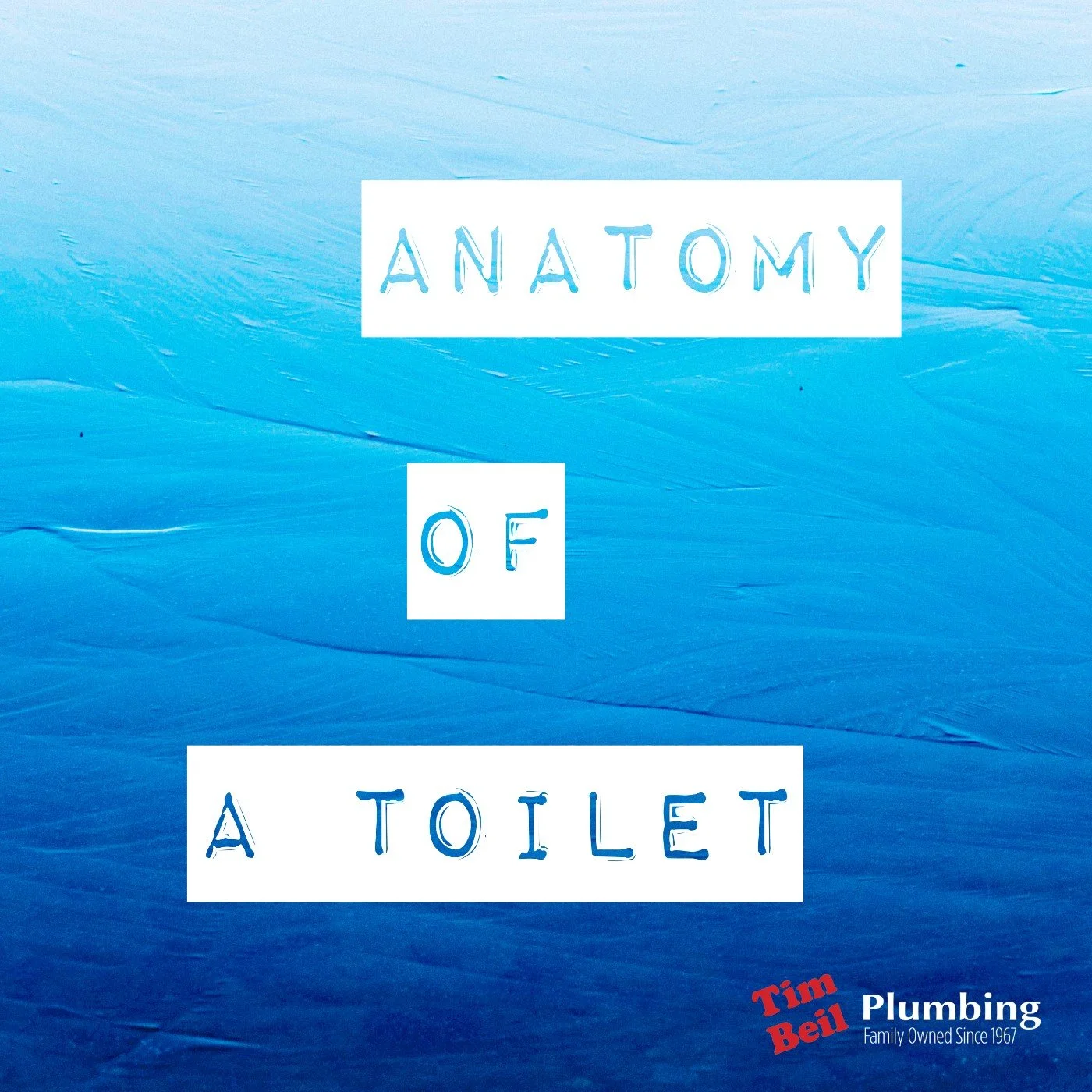 Anatomy of a Toilet